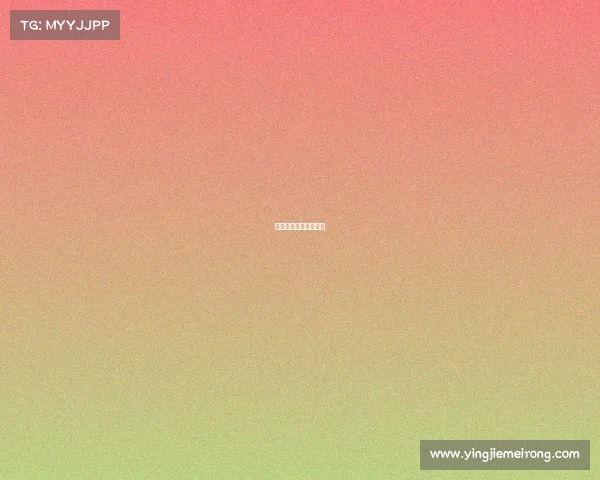 突尼斯这个国家怎么样